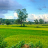 Srinu T